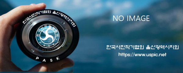 b91449dc6861c8a3ced355aa1f6d20cd_1721041229_5619.png