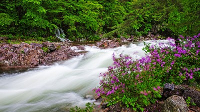 Image 95
